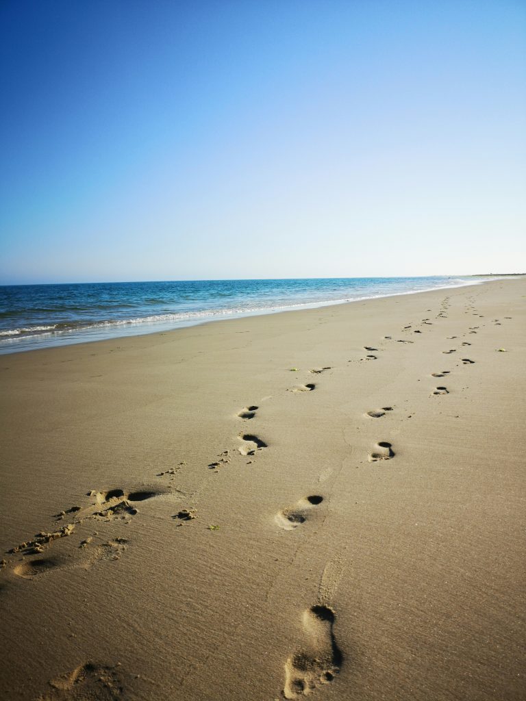 Olhão Beaches: A Hidden Gem in Southern Portugal