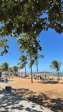 How to Spend 7 Days in Espírito Santo, Brazil: Beaches, Day Trips & Hidden Gems 13 15CA8AEE DE38 4449 B6F0 C7BFCAF4CC08