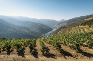 Douro Valley Portugal