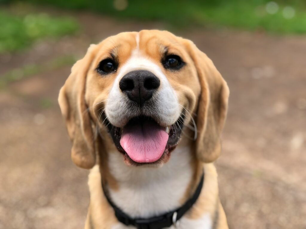 milli 2l0CWTpcChI unsplash